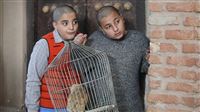 ساخت فصل دوم «حکایت‌های کمال»